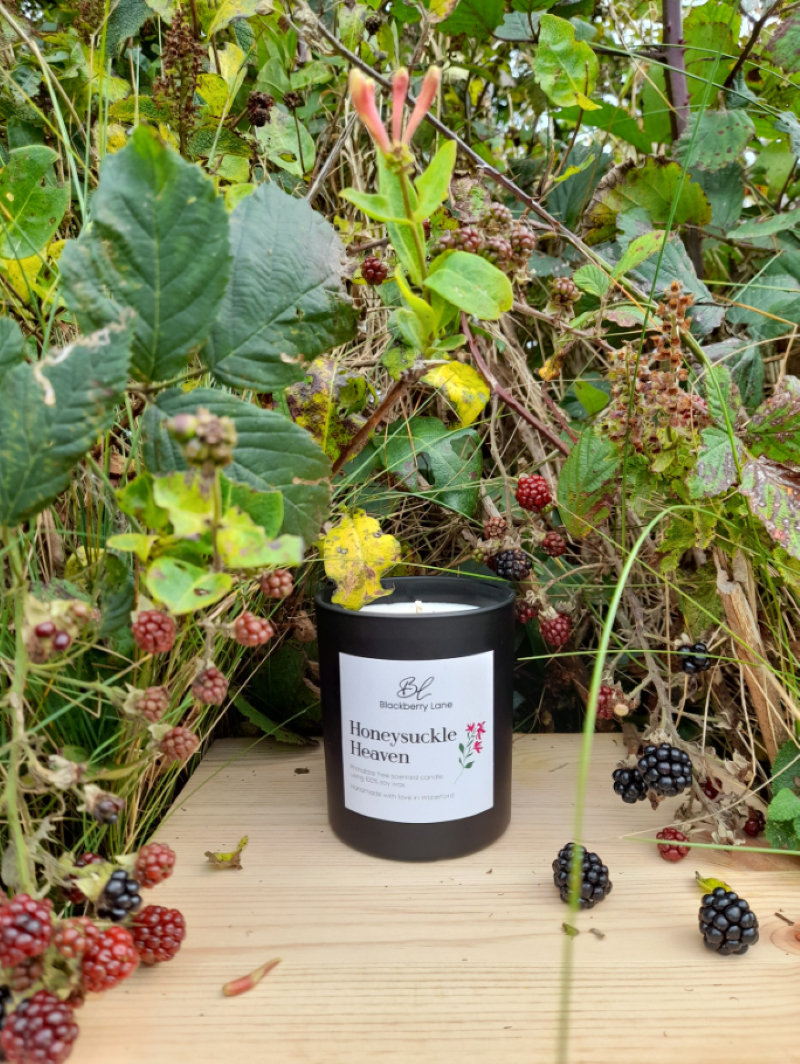Honeysuckle heaven candle blackberry lane home